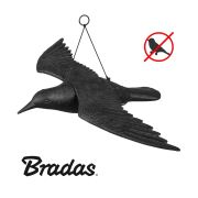  Bradas Madrriaszt repl varj